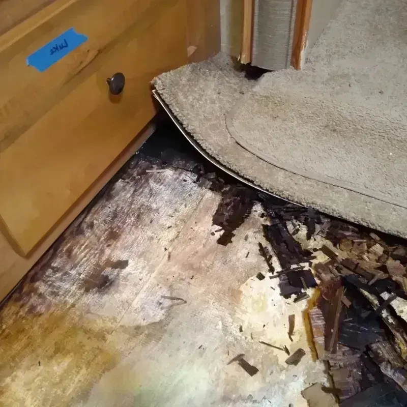 Best Wood Floor Water Damage Service in Schererville, IN